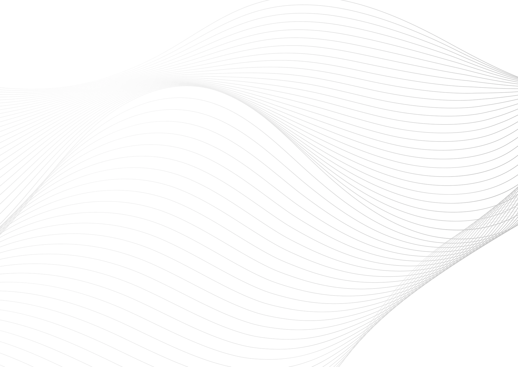 Web Site Tasarımcısı, Lice