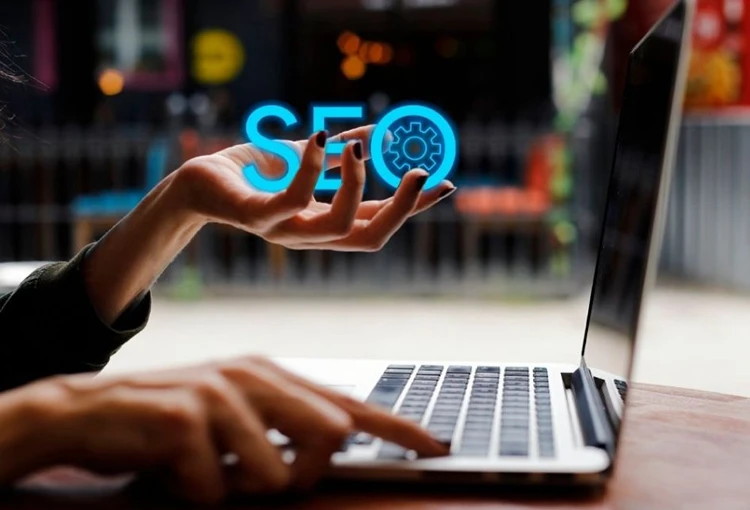 Lice Web Site Tasarımcı