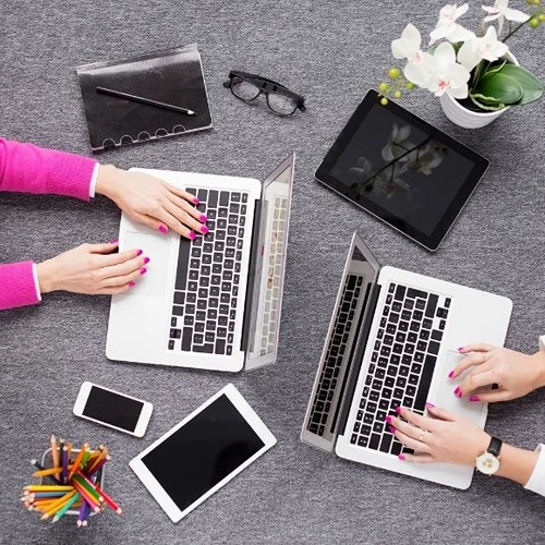 Lice Web Tasarımcı